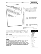 Respiration and Excretion: Family Activity