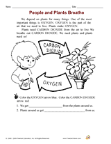 People and Plants Breathe