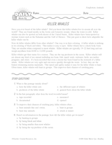 Killer Whales Reading Warm-Up